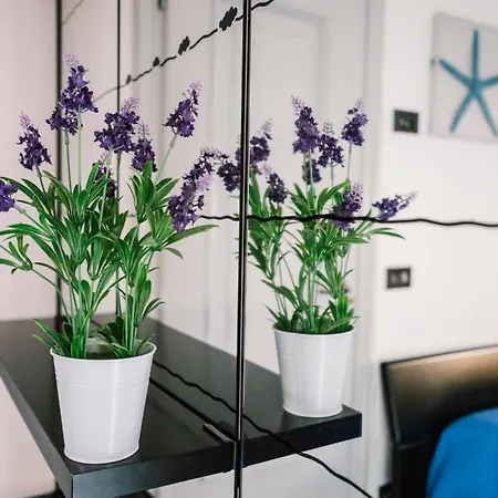 Terrazza D'amare - Centro *